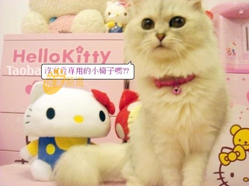 ɐHelloKittyĥ